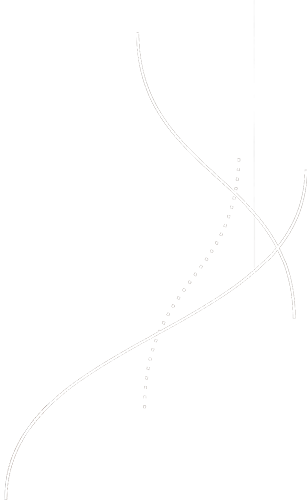 Lines Icon